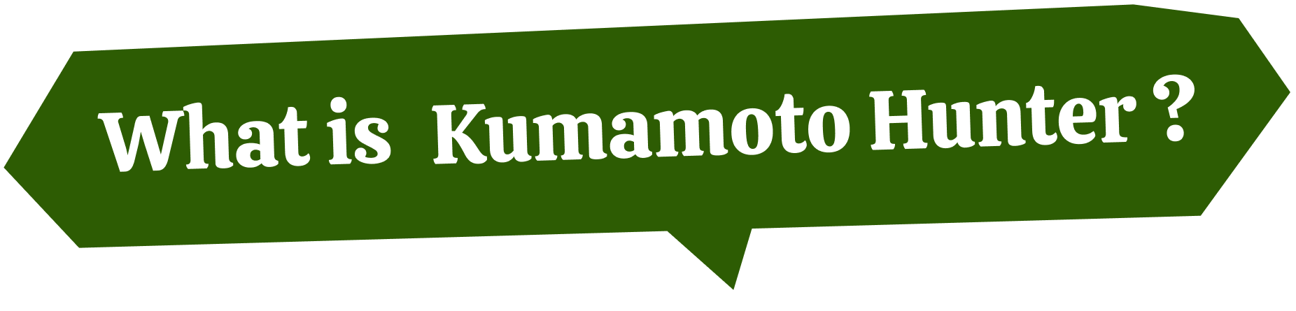 What is Kumamoto Hunter ?