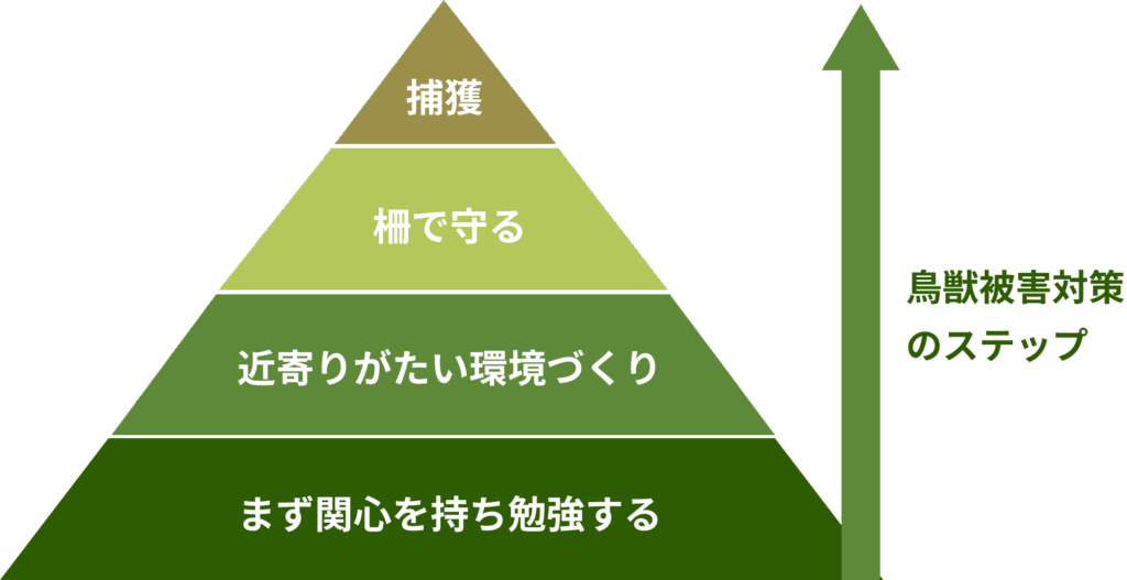 鳥獣被害対策のステップ
まず関心を持ち勉強する
近寄りがたい環境づくり
柵で守る
捕獲