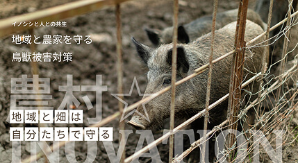 地域と農家を守る鳥獣被害対策についての講演会を開催します