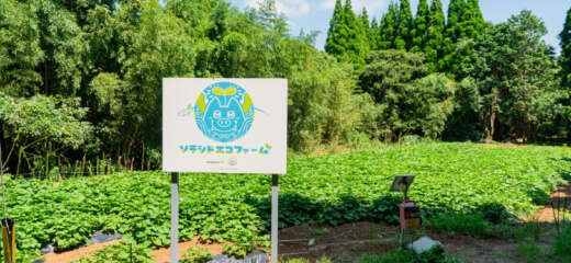 ソラシドエコファーム